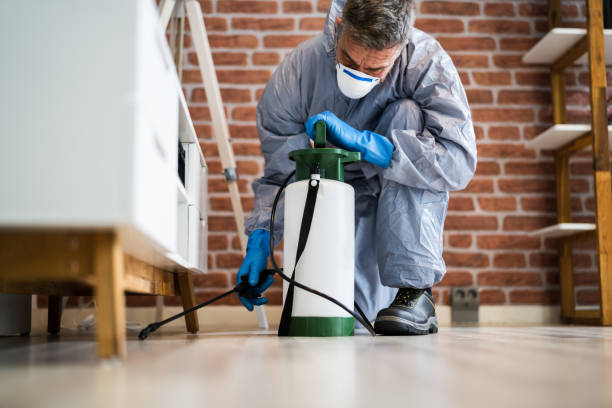 Best Residential Pest Control  in Stone Ridge, NY